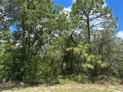 7 Dusty Miller Ct, Homosassa, FL 34446
