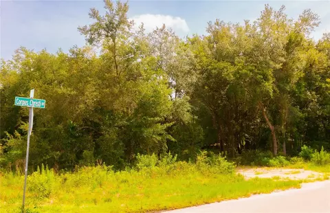 0 Corpus Christie Dr, Shady Hills, FL 34610