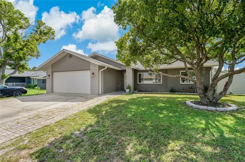 8114 Buttonball Ln, Port Richey, FL 34668