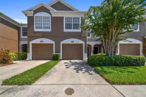 10134 Pink Palmata Ct, Riverview, FL 33578