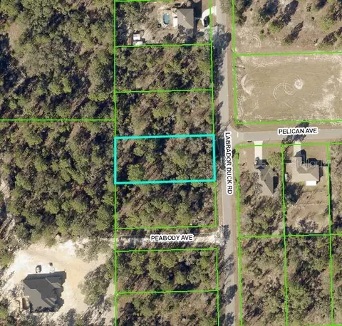 0 Labrador Duck Rd #LOT 8, Weeki Wachee, FL 34614