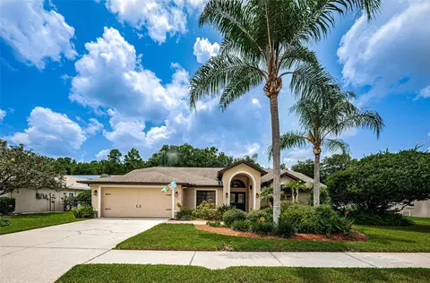 1715 Percheron Dr, Trinity, FL 34655