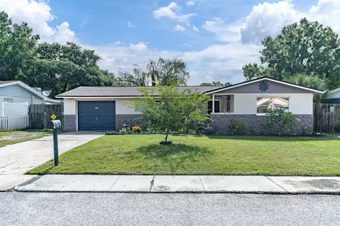 4916 Billy Direct Ln, Lutz, FL 33559
