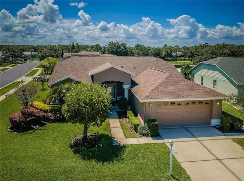 11846 Washburn Pl, Trinity, FL 34655
