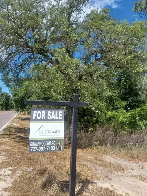 14189 Peace Blvd, Spring Hill, FL 34610