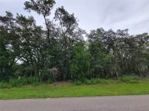 115 N Highview Ave, Hernando, FL 34442