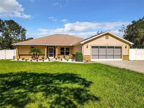 17825 Dansville Dr, Spring Hill, FL 34610