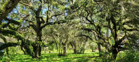 Lucille Drive, Hudson, FL 34669