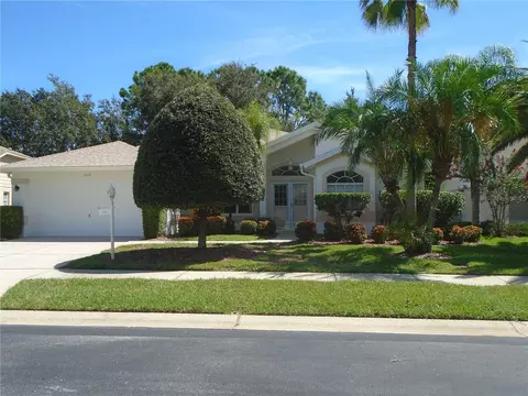 1320 Eveningside Ct, Trinity, FL 34655