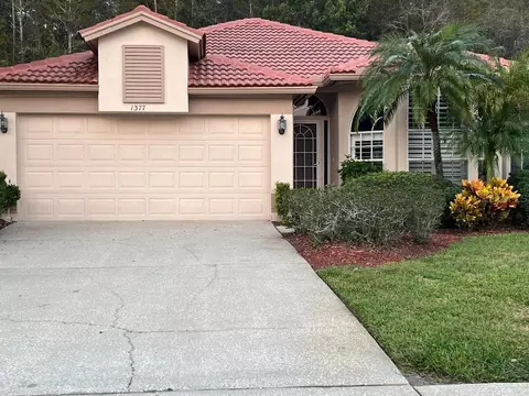 1377 Dartford Dr, Tarpon Springs, FL 34688
