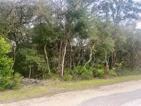 7340 Idlewood Dr, Webster, FL 33597