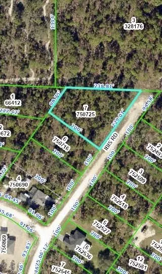 15471 Ibis Rd, Weeki Wachee, FL 34614