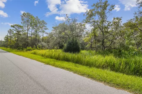Lot 2 Wood Owl Avenue, Weeki Wachee, FL 34614
