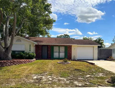 4806 Dogwood St, New Port Richey, FL 34653