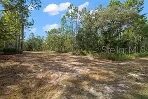 Sooty Tern Avenue, Weeki Wachee, FL 34614