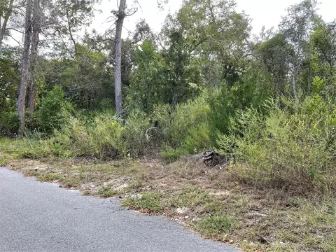 Dry Tortugas Run, Hudson, FL 34667