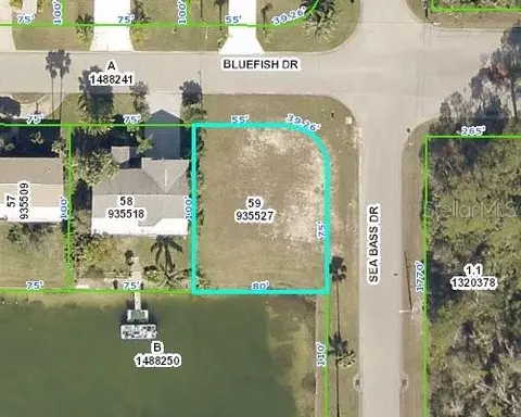 4064 Bluefish Dr, Hernando Beach, FL 34607 photo 1