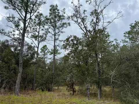 SE 136th Terrace, Dunnellon, FL 34431