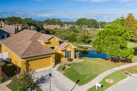 2627 Big Pine Dr, Holiday, FL 34691