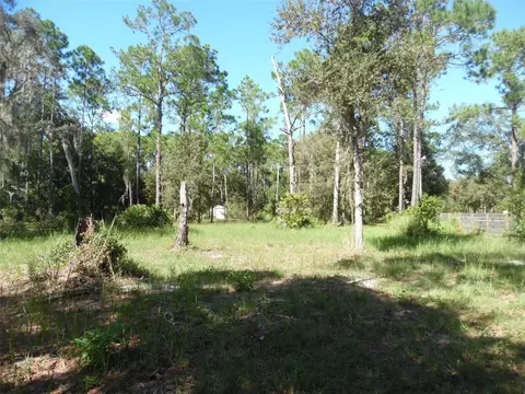 28655 Lindenhurst Dr, Wesley Chapel, FL 33544