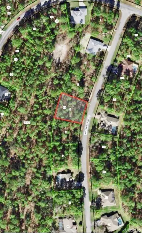 10 Whitewood Ct, Homosassa, FL 34446