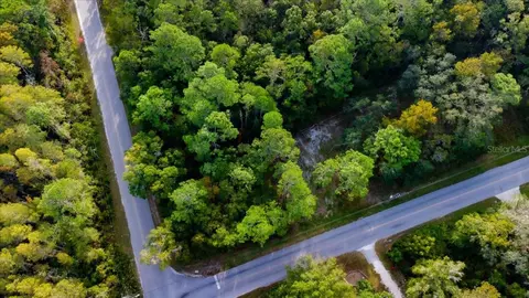 Oconee, New Port Richey, FL 34654
