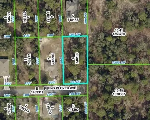 Piping Plover Avenue, Weeki Wachee, FL 34614