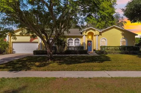 2410 Buckhorn School Ct, Valrico, FL 33594