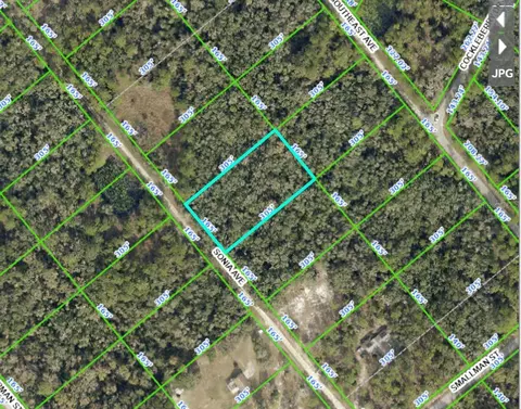 7252 Sonia Ave, Ridge Manor Estates, FL 33597