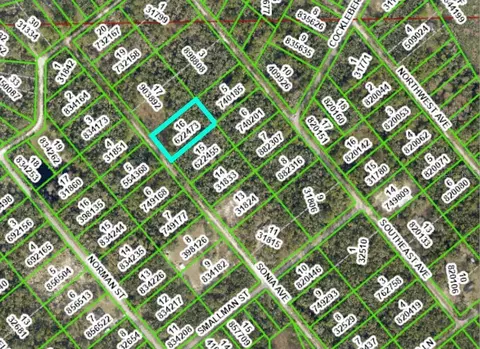 7262 Sonia Ave, Ridge Manor Estates, FL 33597