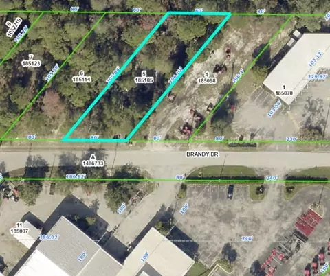 6467 Brandy Dr, Spring Hill, FL 34607