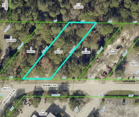 Brandy Drive, Spring Hill, FL 34607