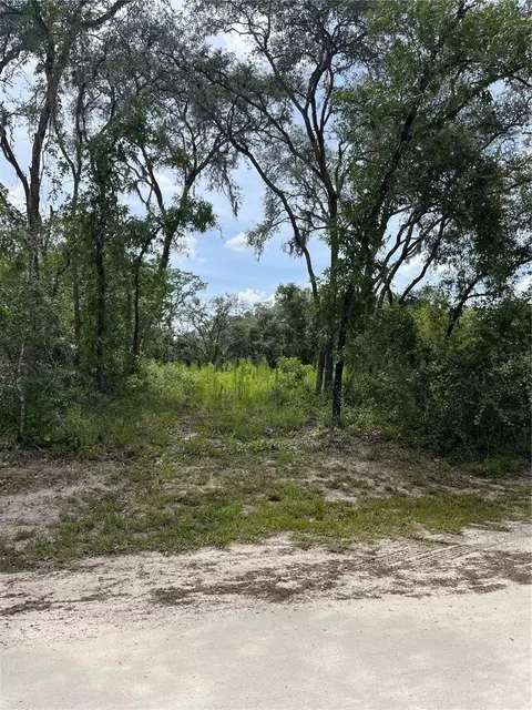 8143 Chimney Rock Dr, Webster, FL 33597