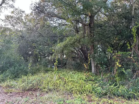 9731 Jerome Dr, New Port Richey, FL 34654