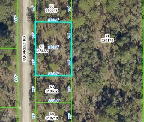 18074 Parakeet Rd, Weeki Wachee, FL 34614