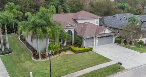 16048 Ivy Lake Dr, Odessa, FL 33556
