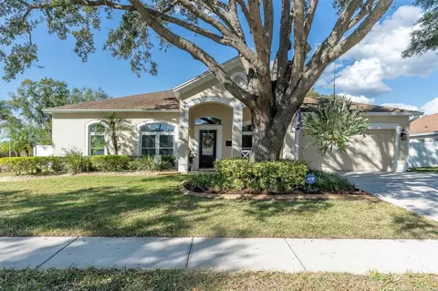 11804 Tall Elm Ct, Riverview, FL 33569