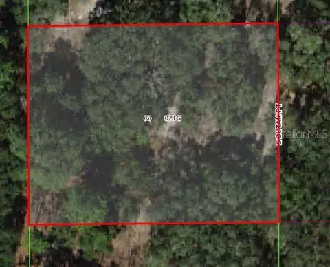 5790 S Butan Pt, Homosassa, FL 34446