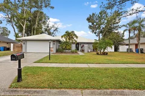 9315 Pebble Creek Dr, Tampa, FL 33647