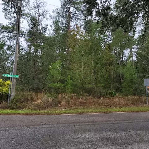 1 Lobelia Ct, Homosassa, FL 34446