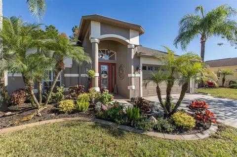 1149 Dustan Pl, Trinity, FL 34655