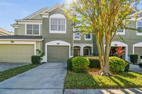 10159 Pink Palmata Ct, Riverview, FL 33578