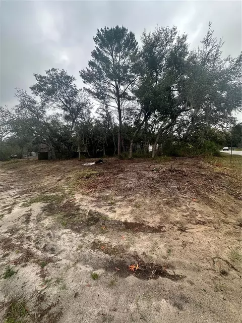 12135 Terra Ceia Ave, New Port Richey, FL 34654