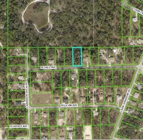 11455 Petrel Ave #LOT 6, Weeki Wachee, FL 34614