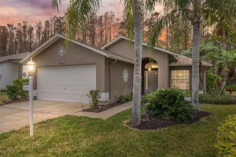 1103 Sweet Jasmine Dr, Trinity, FL 34655