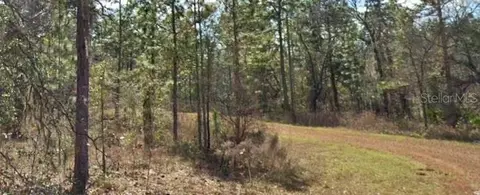 15525 Cliff Swallow Rd, Weeki Wachee, FL 34614