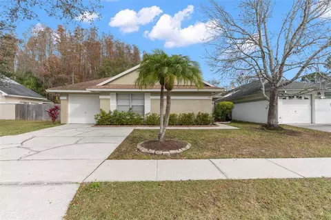 5911 Bitterwood Ct, Tampa, FL 33625