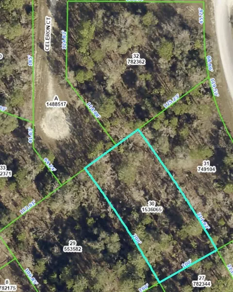 Celeron Court, Weeki Wachee, FL 34614