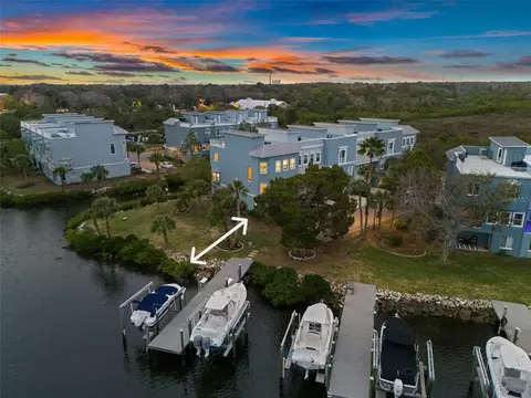 1118 Starfish Ln, Tarpon Springs, FL 34689