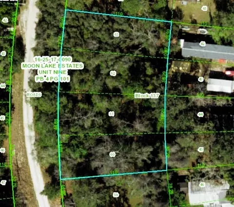 Tbd Gilmer Street, New Port Richey, FL 34654